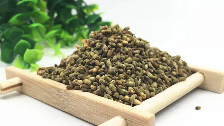 pure quercetin powder pure quercetin powder
