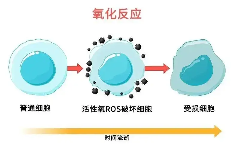 blog-1-1 blog-1-1