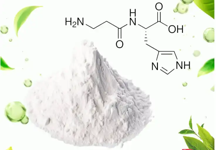 L carnosine powder L carnosine powder