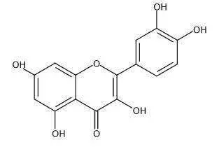 pure quercetin powder pure quercetin powder